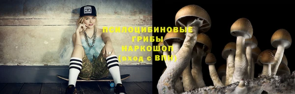 a pvp Алзамай