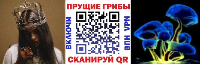 Псилоцибиновые грибы мицелий  Игарка 